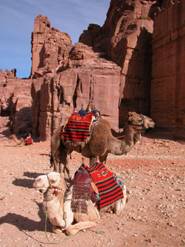 jordania018