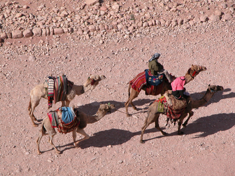 jordania023