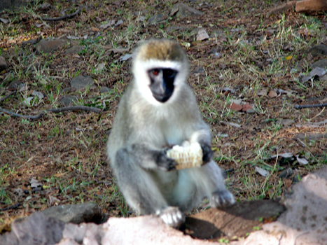 bnakuru01