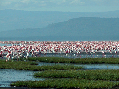 bnakuru05
