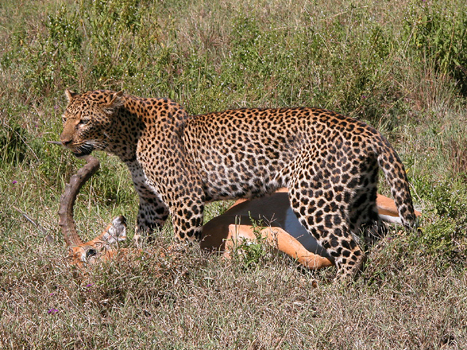 bnakuru08