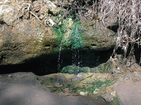 cnaivasha06