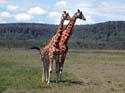 bnakuru010