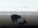 bnakuru02