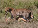 bnakuru08