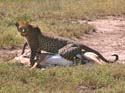 bnakuru09