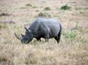 masaimara012