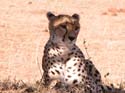 masaimara05