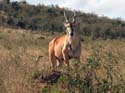 masaimara08