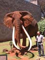 nairobi07