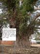 malawi03