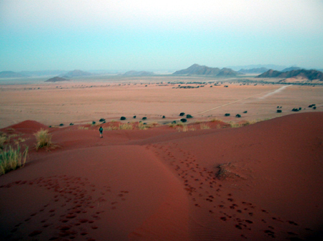 namib026