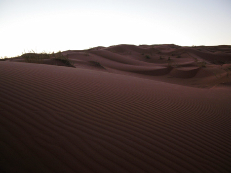 namib027
