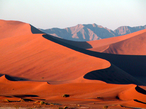 namib042