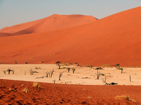 namib044