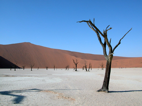 namib048