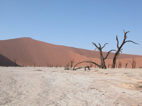 namib049
