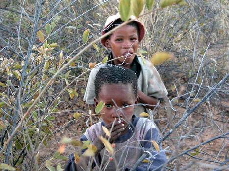 namib066