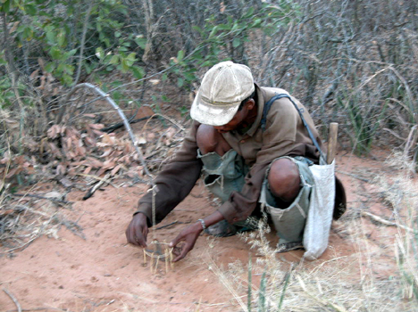 namib067