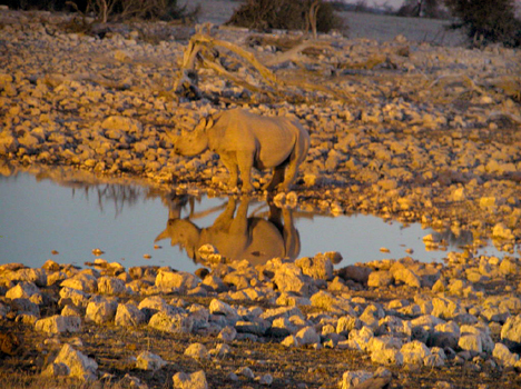namib082