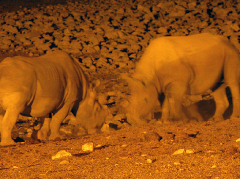 namib085
