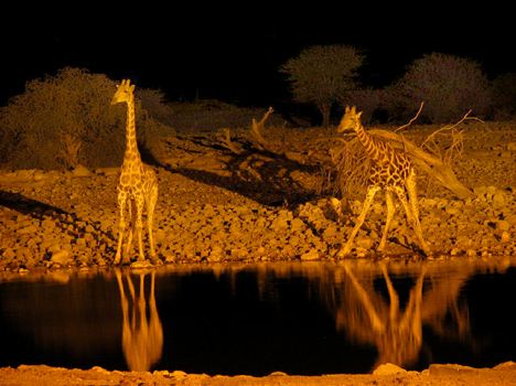 namib086
