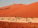 namib044