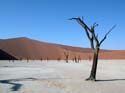 namib048