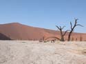 namib049