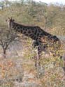 namib072