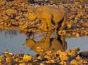 namib083