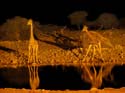 namib086
