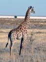 namib090
