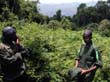 rwanda19