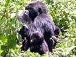rwanda20
