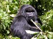 rwanda22