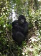 rwanda23