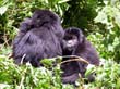 rwanda31