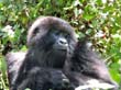 rwanda32