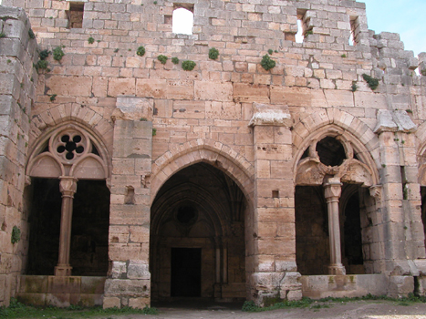 siria022