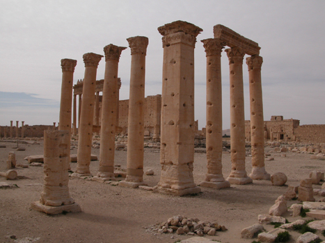 siria029
