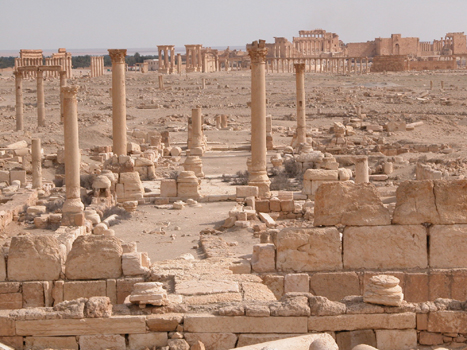 siria033