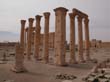 siria029