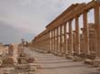 siria039