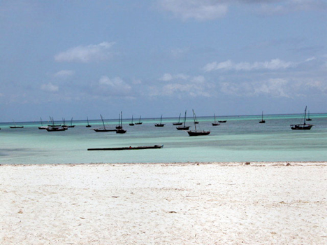 2tanZaz46