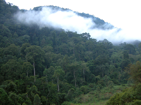 uganda06