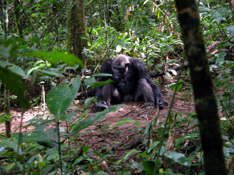 uganda22