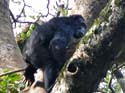 uganda17