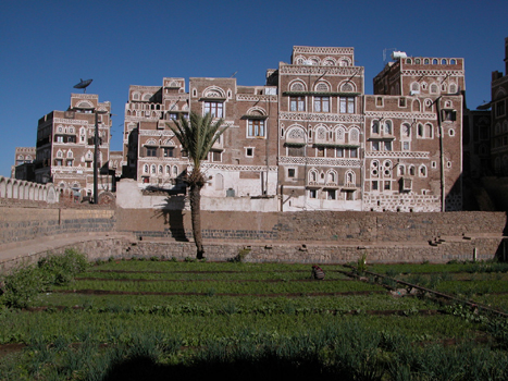 yemen19
