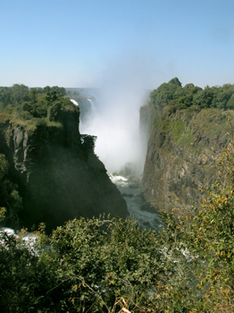 zimbaw03